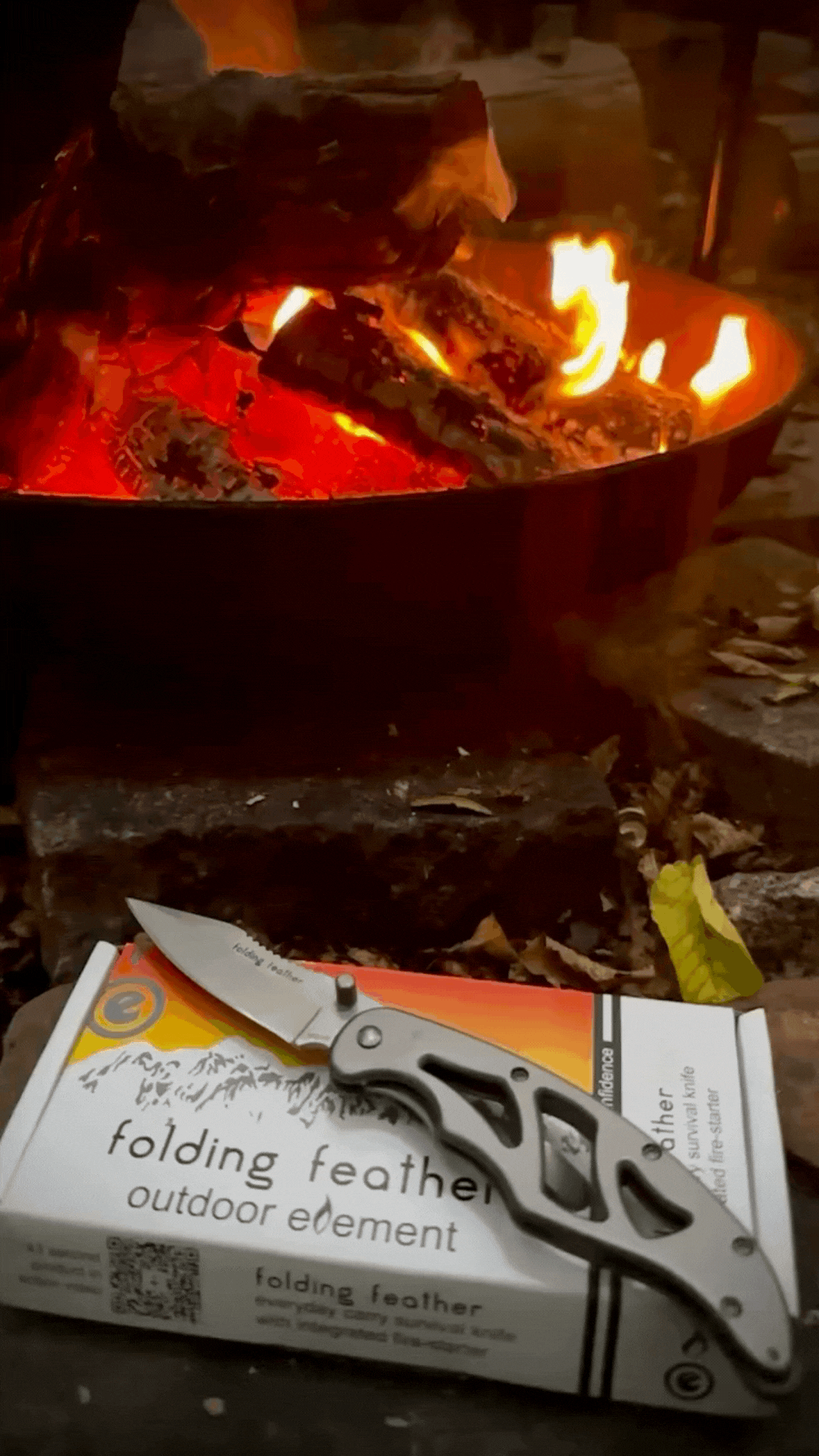 Path through the wilderness